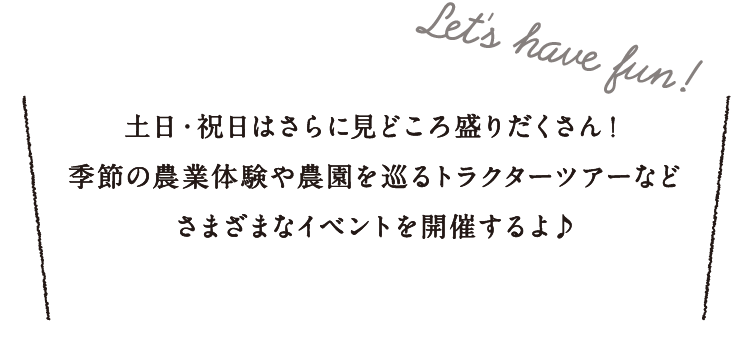 Let's have fun !
