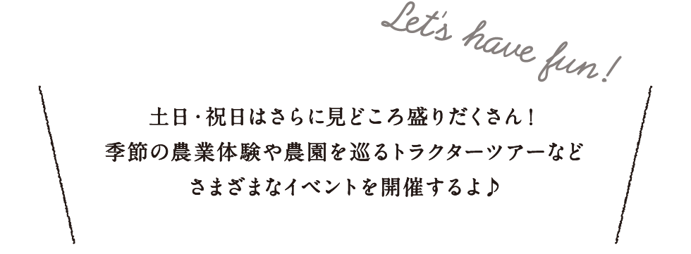 Let's have fun !