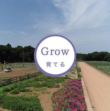 Grow 育てる