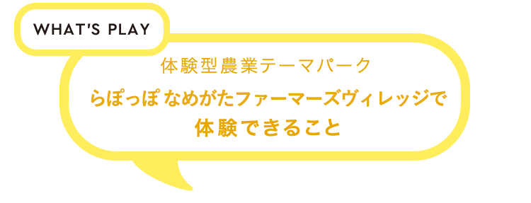 WHAT'S PLAY　体験型農業テーマパーク らぽっぽ なめがたファーマーズヴィレッジで体験できること