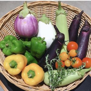 なめファ夏野菜収穫体験