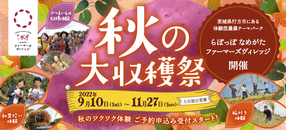 秋の大収穫祭