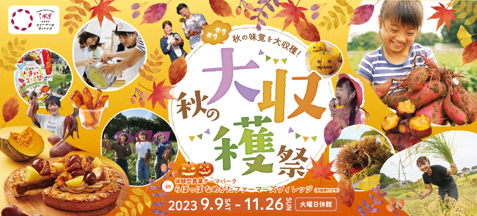 秋の大収穫祭