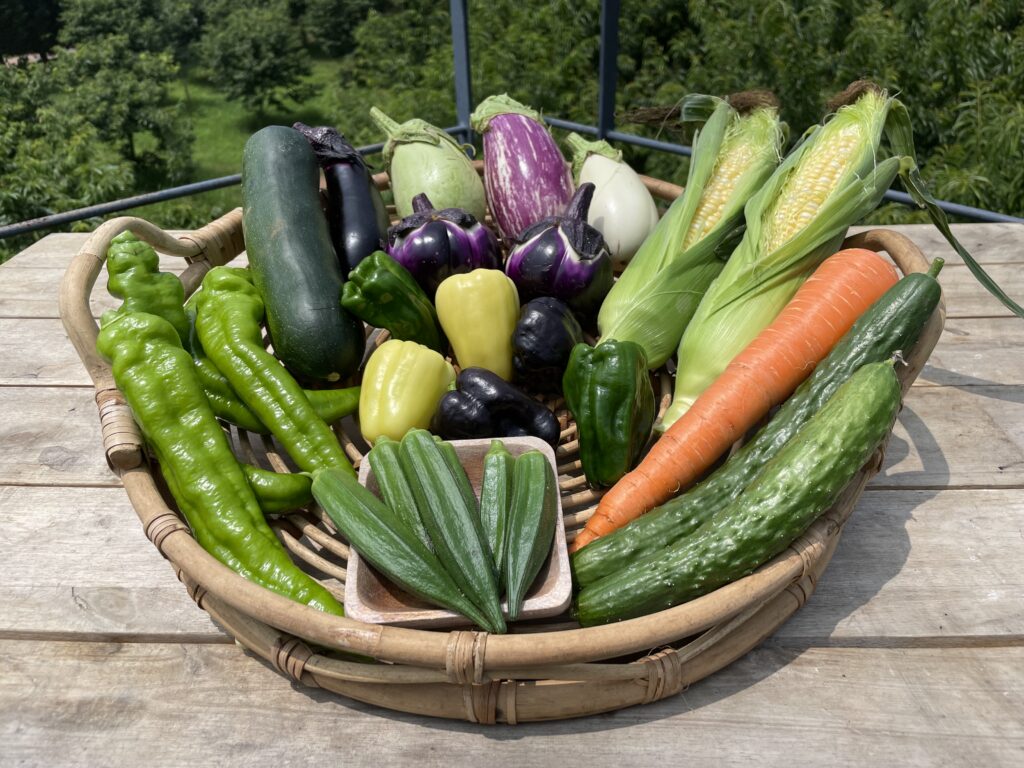 夏野菜